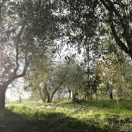 Country House Sofiavillas 基安蒂盖奥勒 外观 照片