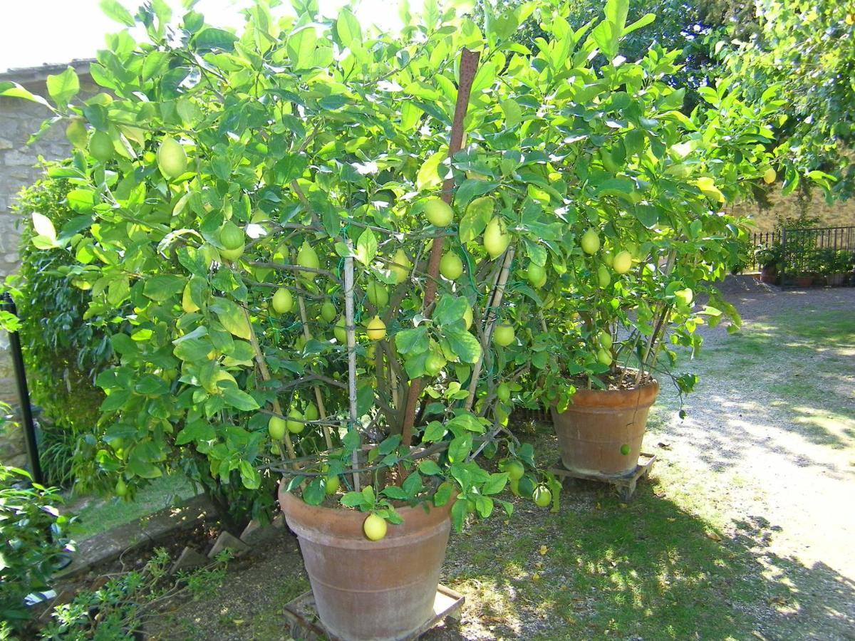 Country House Sofiavillas 基安蒂盖奥勒 外观 照片