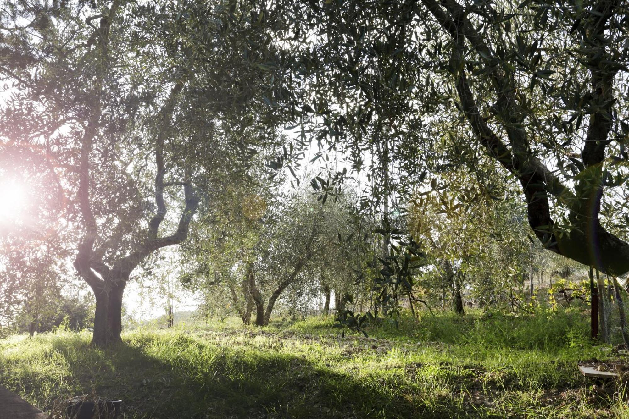 Country House Sofiavillas 基安蒂盖奥勒 外观 照片